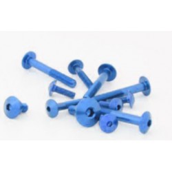 fairing screw