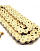Transmission / Chain